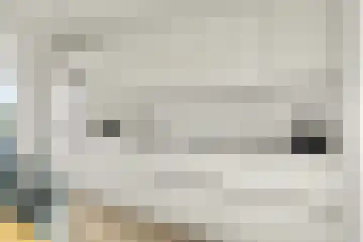 Ruisweg 14 Wemeldinge thumbnail 32