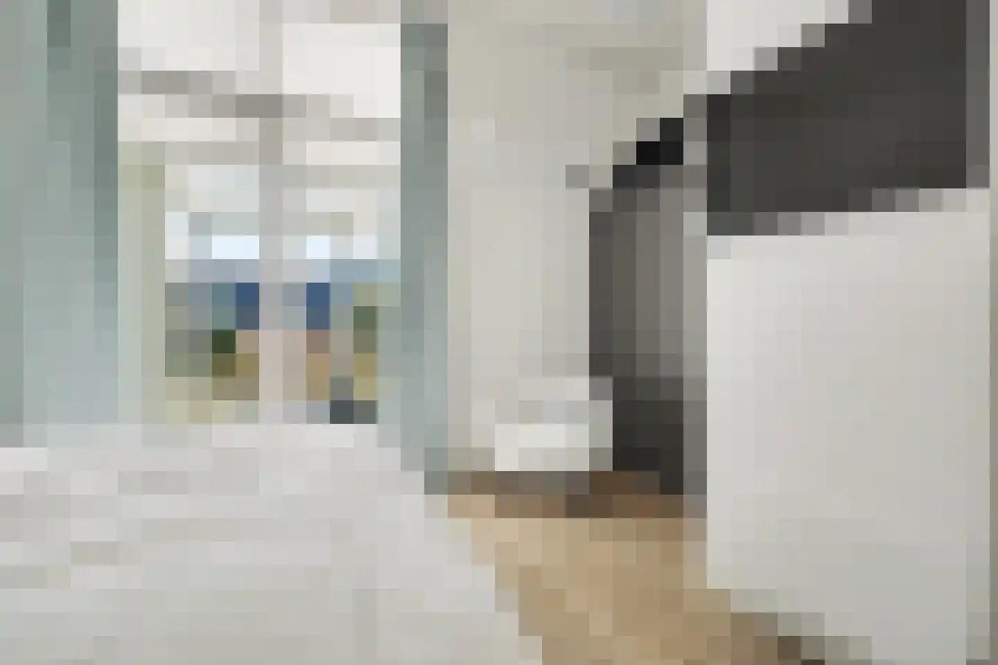 Ruisweg 14 Wemeldinge thumbnail 36