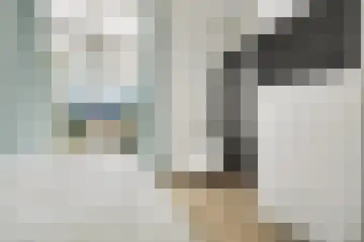 Ruisweg 14 Wemeldinge thumbnail 36