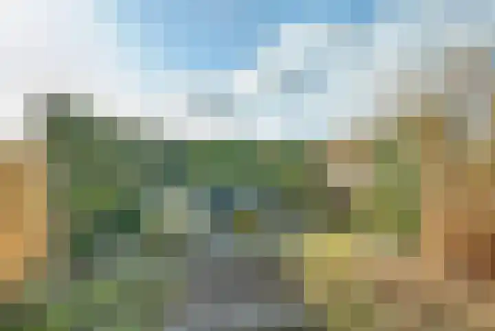 Ruisweg 14 Wemeldinge thumbnail 37
