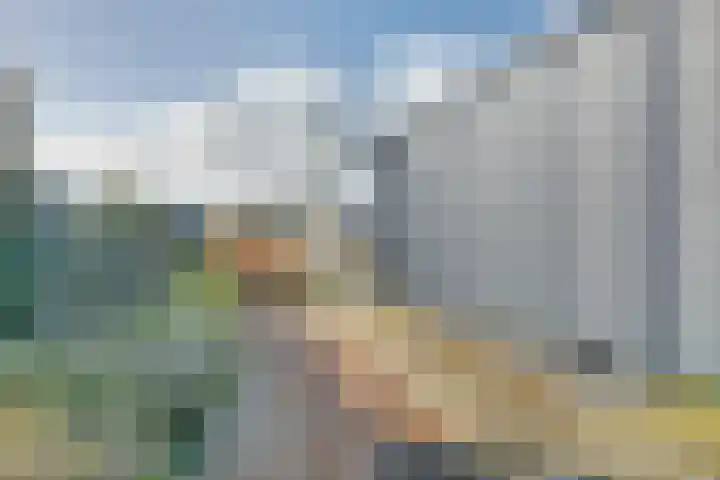 Ruisweg 14 Wemeldinge thumbnail 38