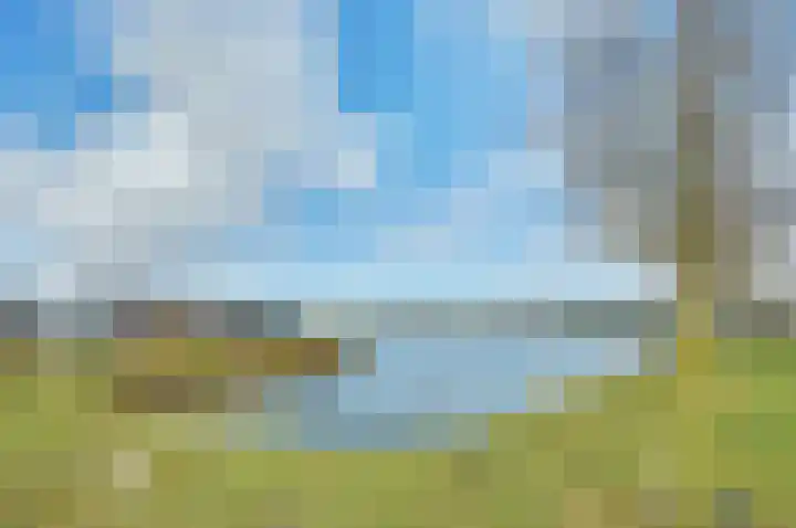 Ruisweg 14 Wemeldinge thumbnail 40