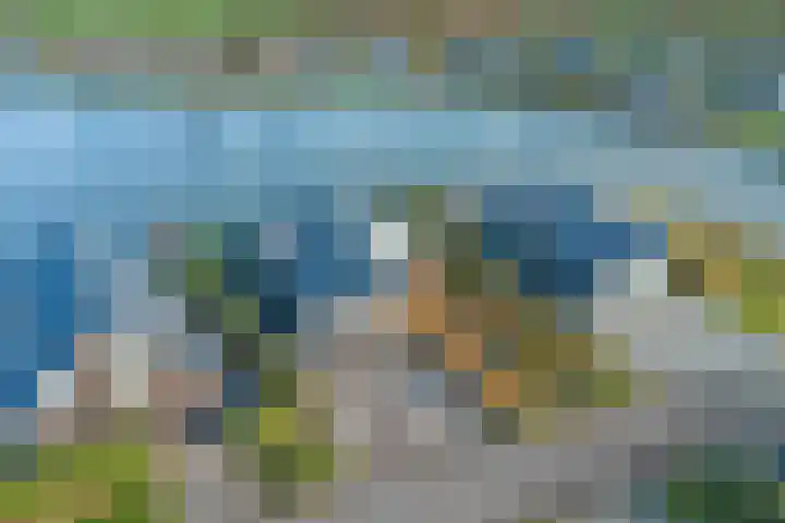 Ruisweg 14 Wemeldinge thumbnail 45