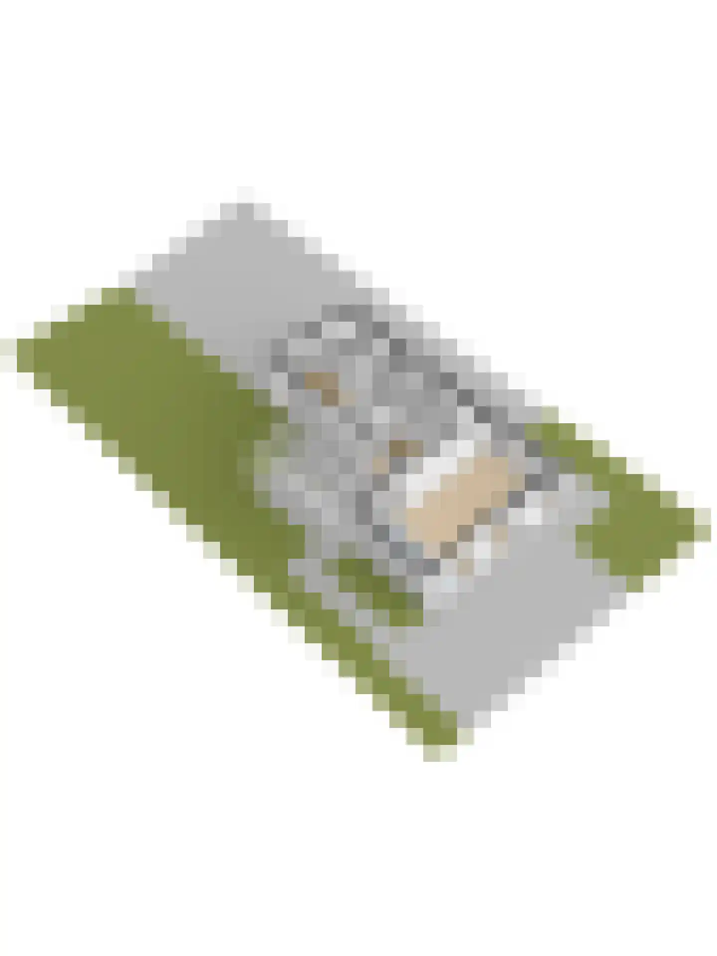 Ruisweg 14 Wemeldinge thumbnail 45