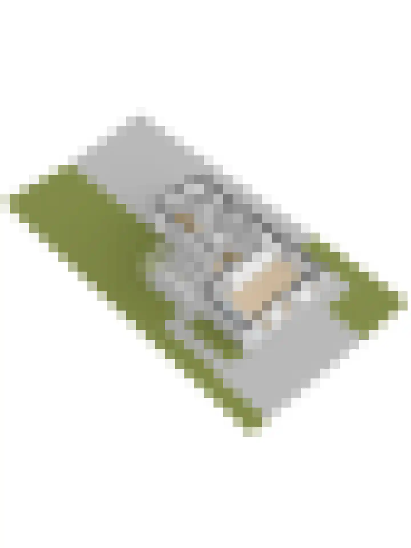 Ruisweg 14 Wemeldinge thumbnail 49