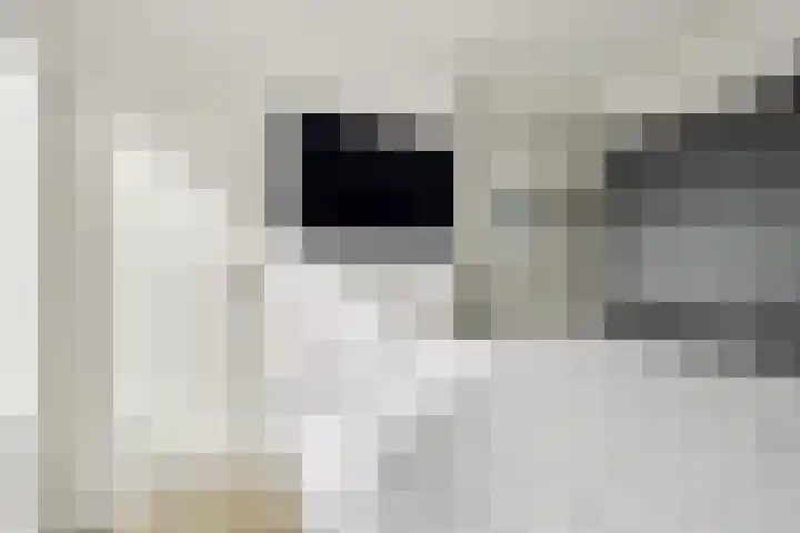 Ruisweg 14 Wemeldinge thumbnail 8