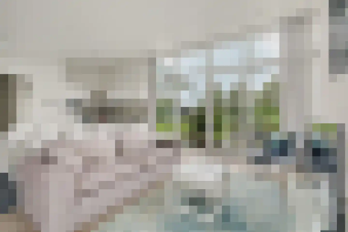 Ruisweg 38 Wemeldinge thumbnail 10