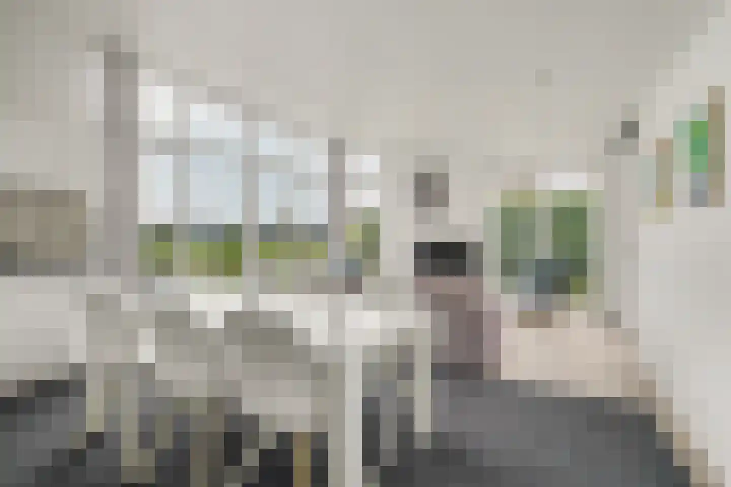 Ruisweg 38 Wemeldinge thumbnail 12