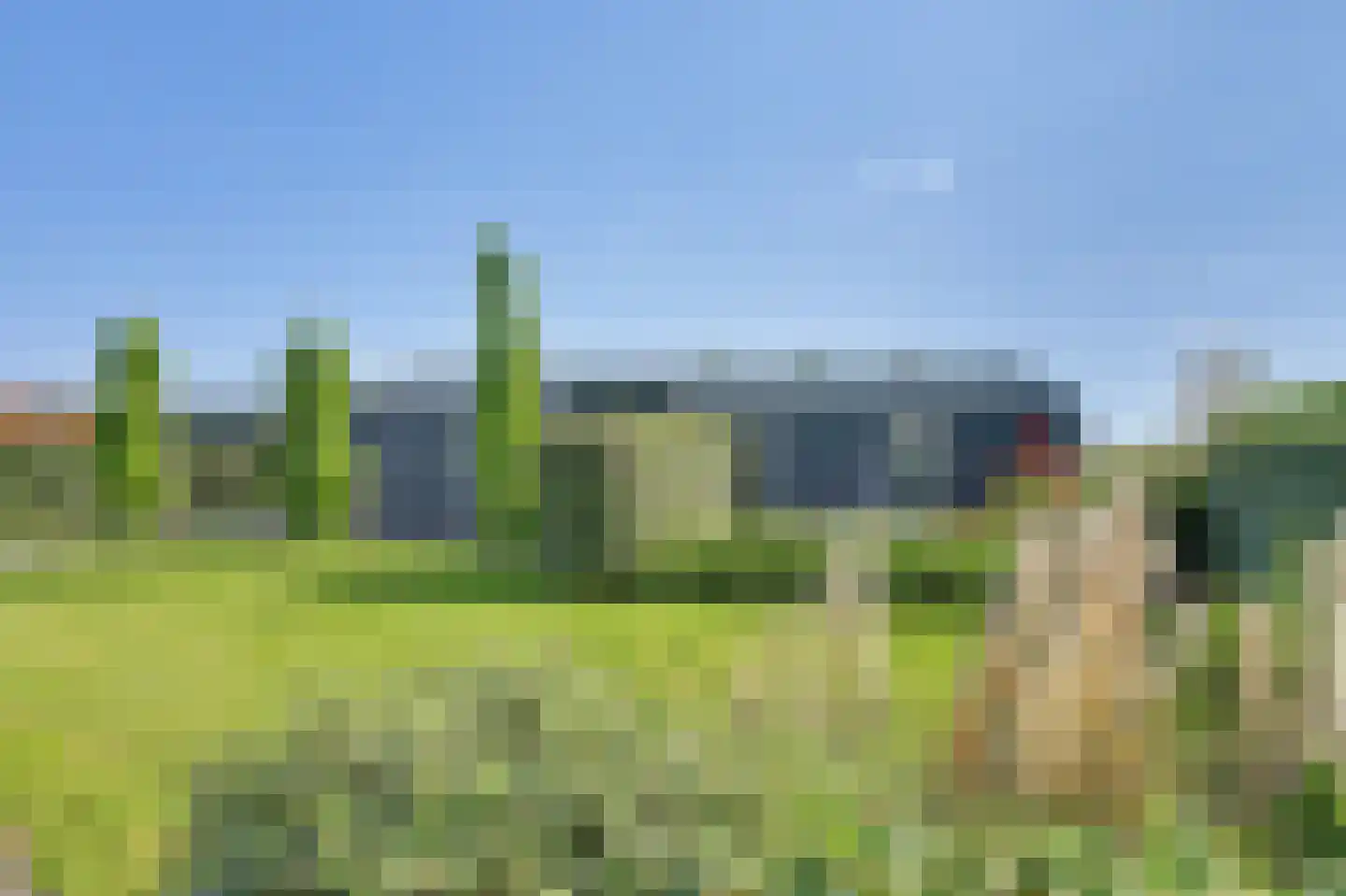 Ruisweg 38 Wemeldinge thumbnail 28