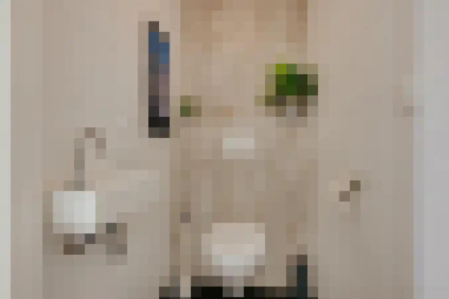 Ruisweg 46 Wemeldinge thumbnail 10