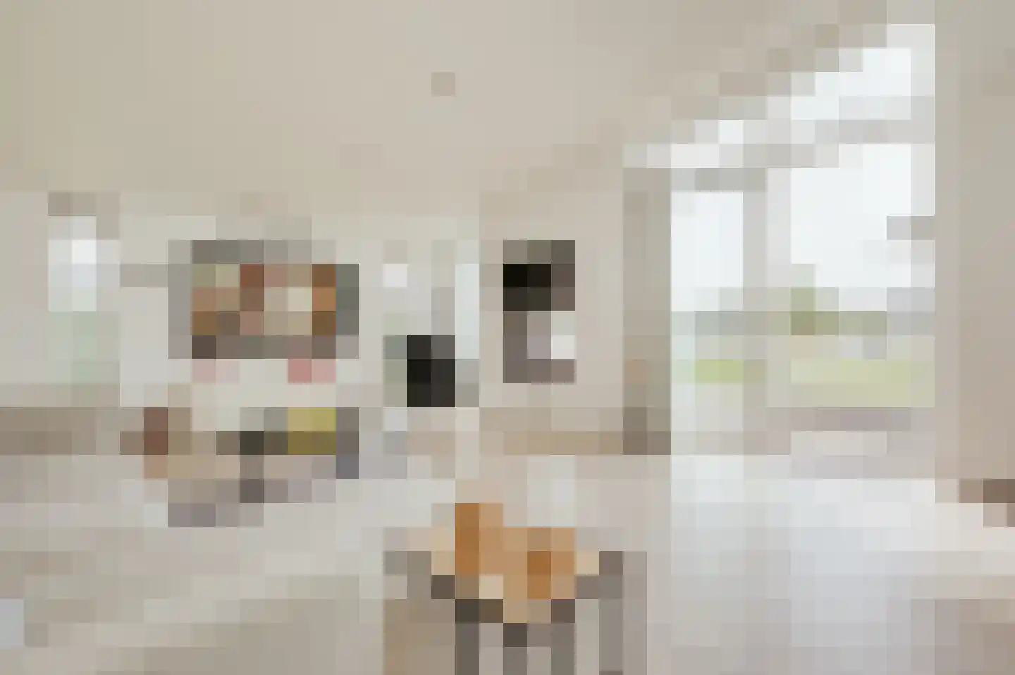 Ruisweg 46 Wemeldinge thumbnail 11