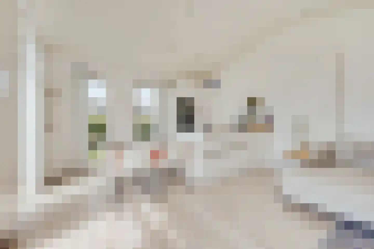 Ruisweg 46 Wemeldinge thumbnail 13