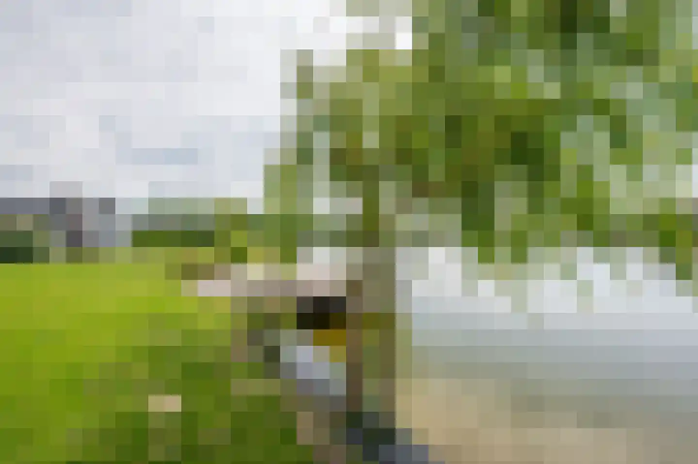 Ruisweg 46 Wemeldinge thumbnail 29