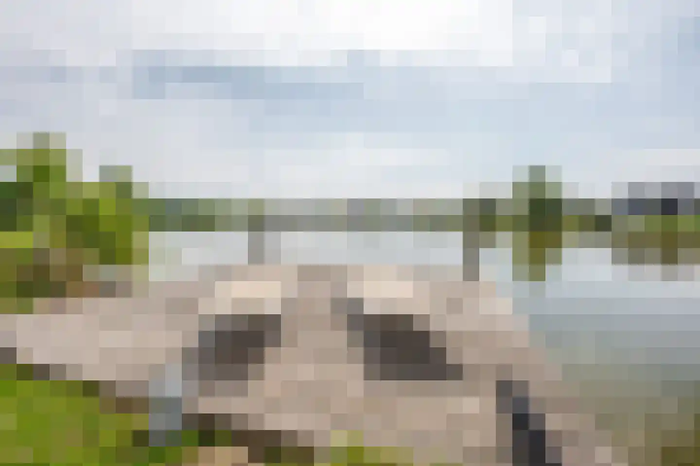 Ruisweg 46 Wemeldinge thumbnail 31
