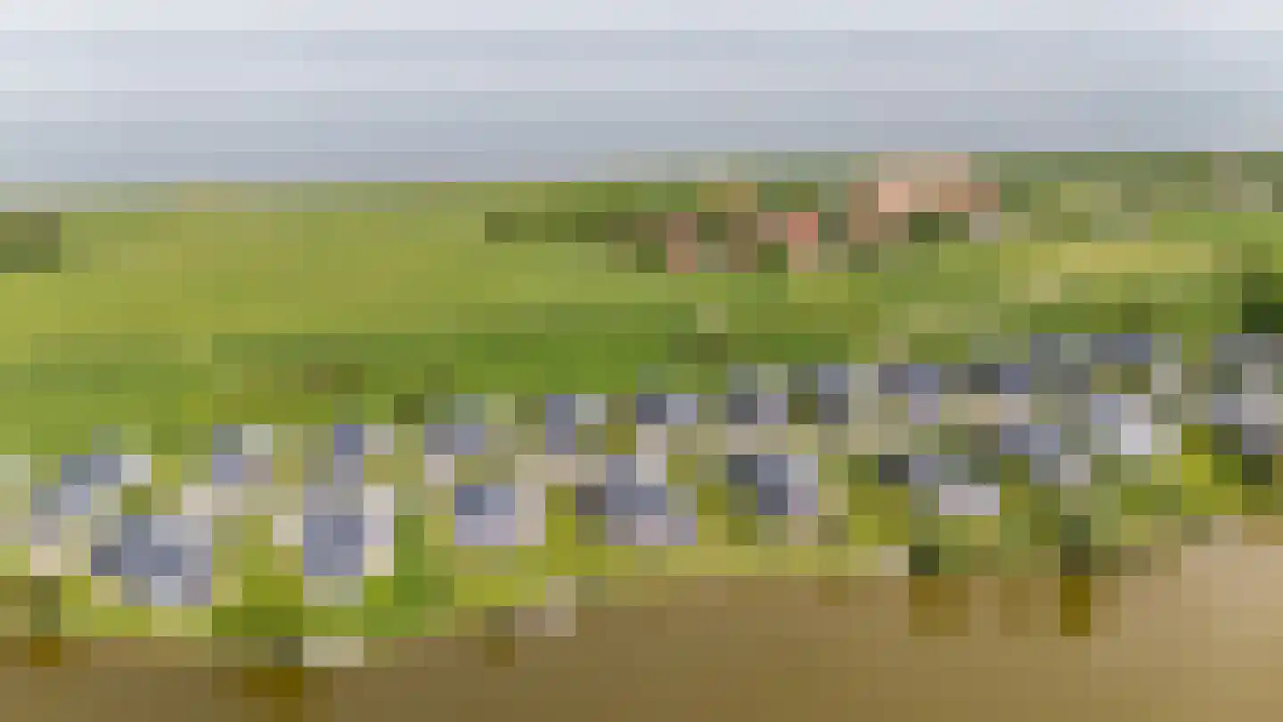 Ruisweg 46 Wemeldinge thumbnail 39