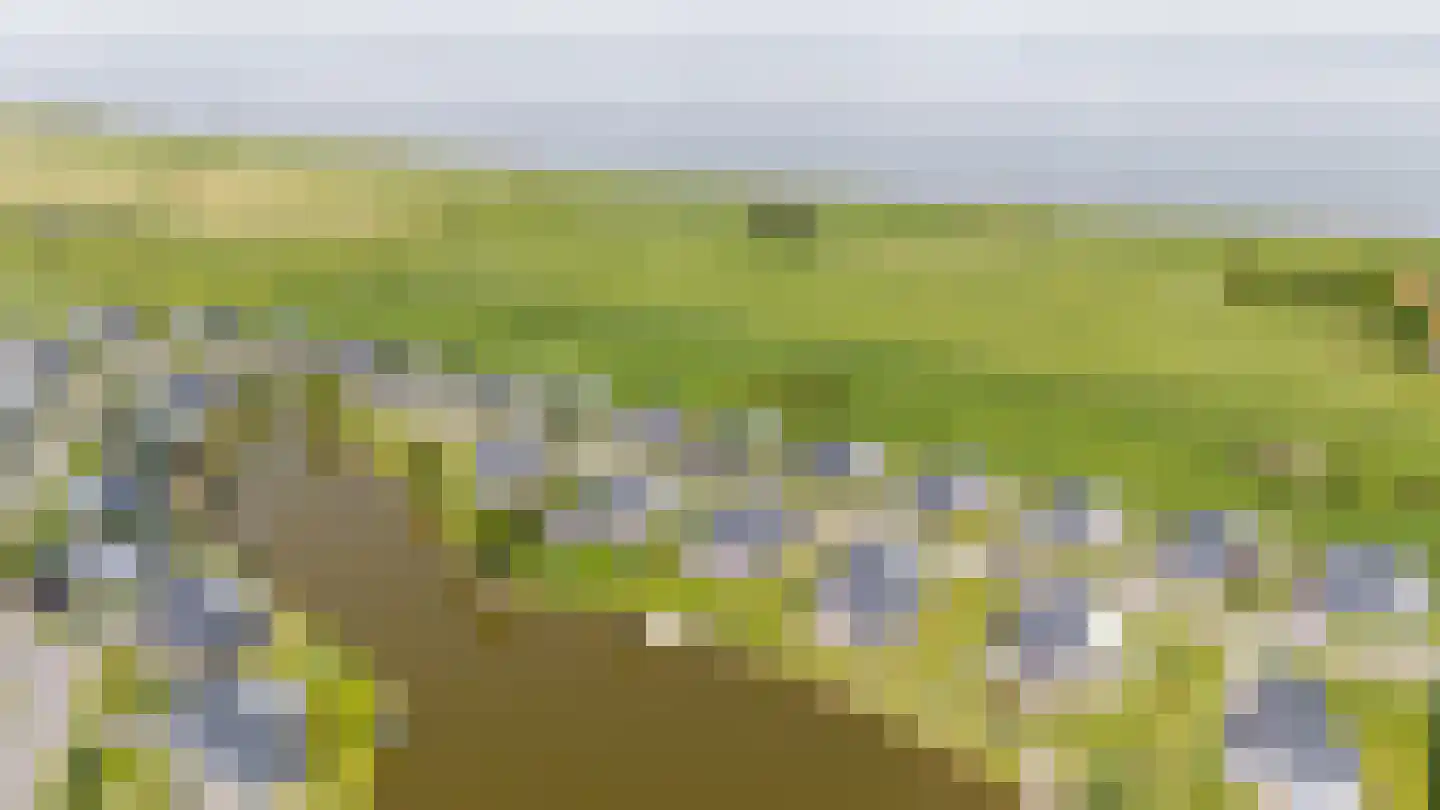 Ruisweg 46 Wemeldinge thumbnail 40