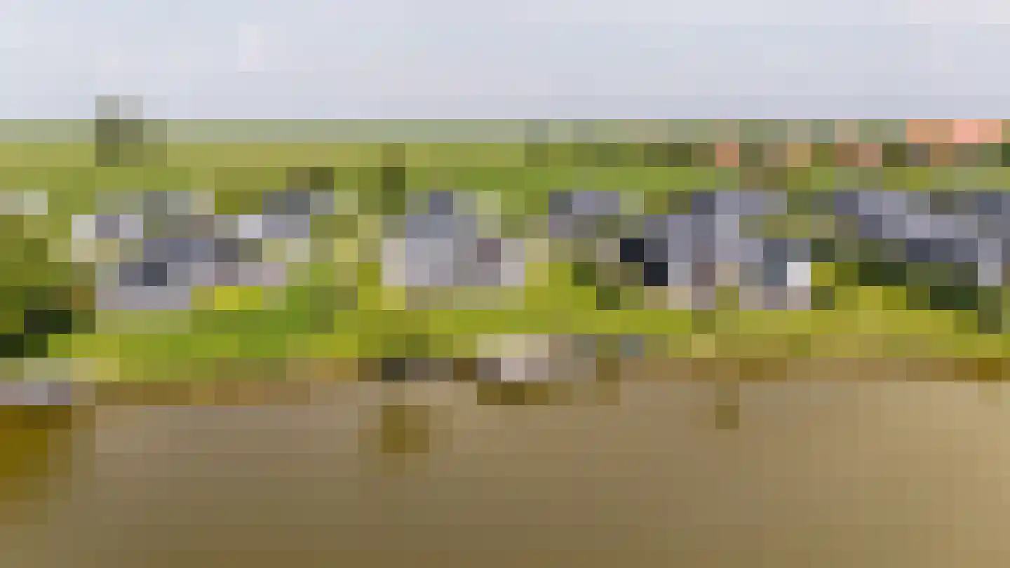 Ruisweg 46 Wemeldinge thumbnail 41