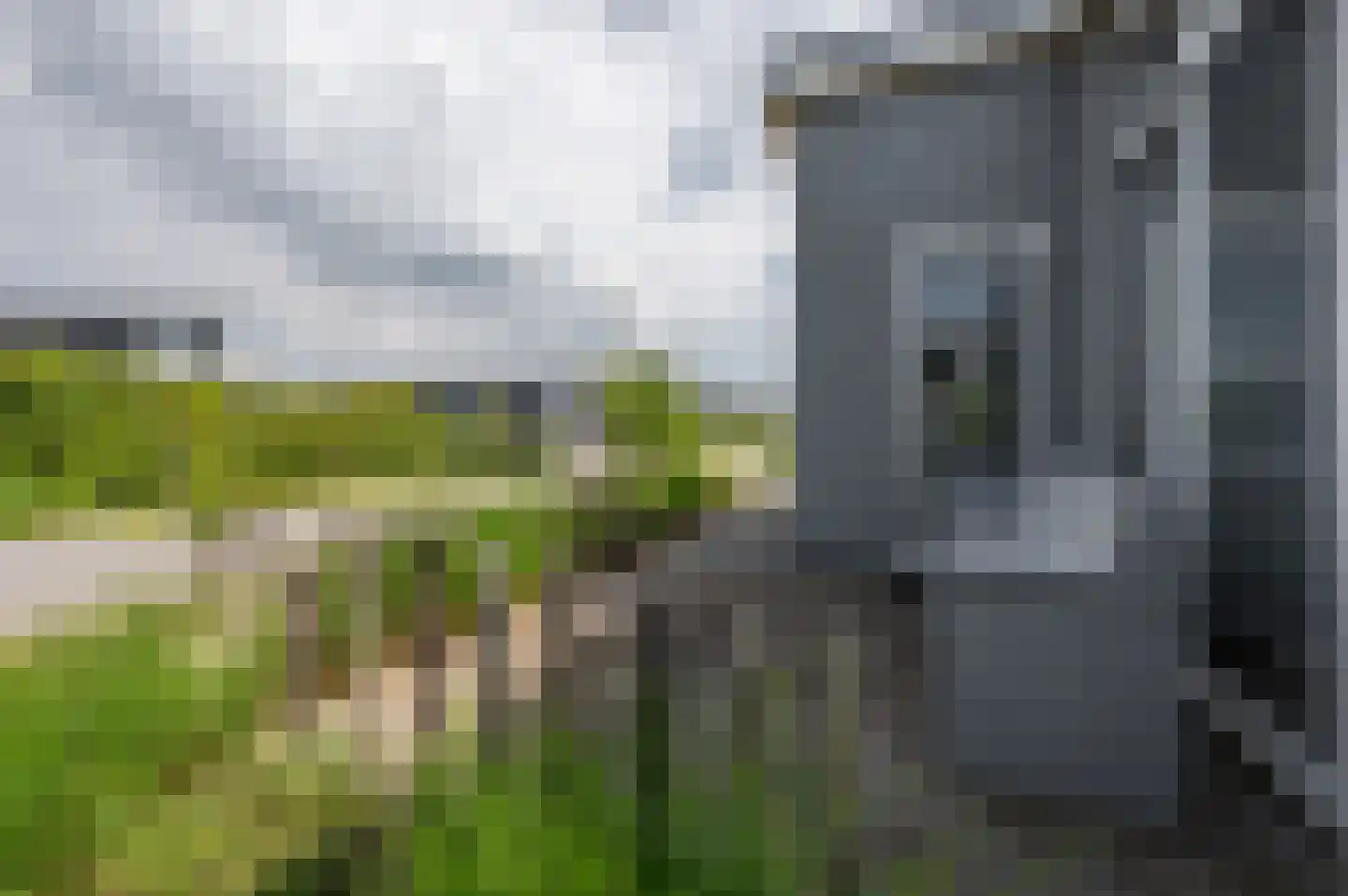 Ruisweg 46 Wemeldinge thumbnail 6