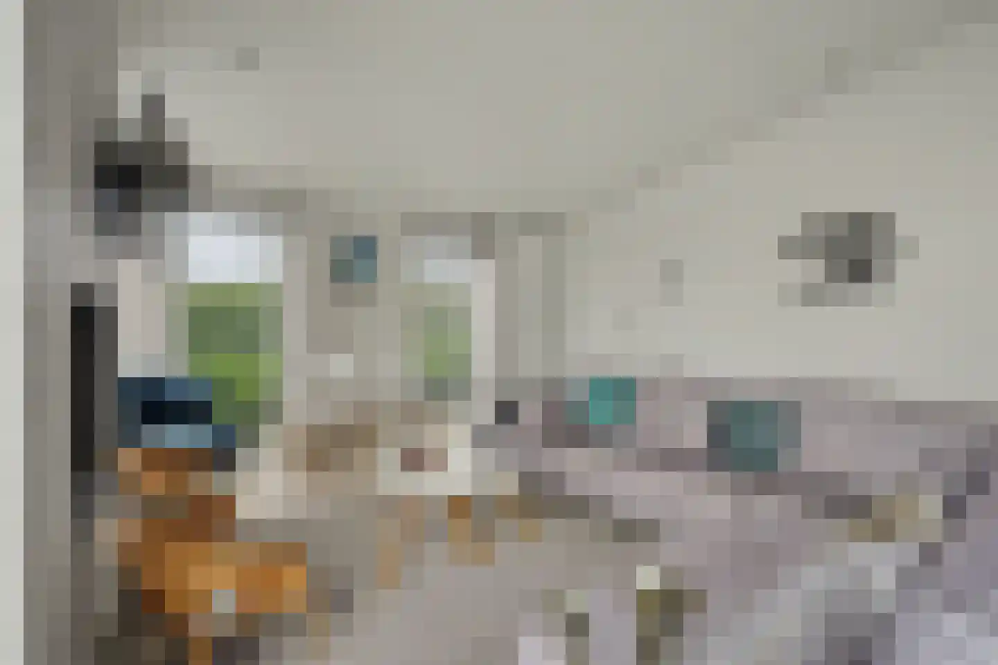 Ruisweg 48 Wemeldinge thumbnail 10
