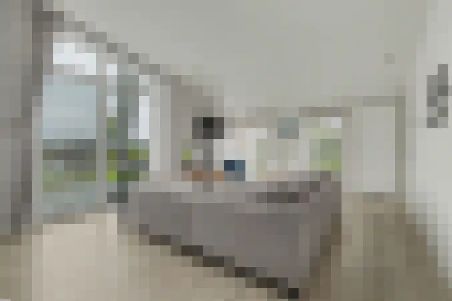 Ruisweg 48 Wemeldinge thumbnail 11