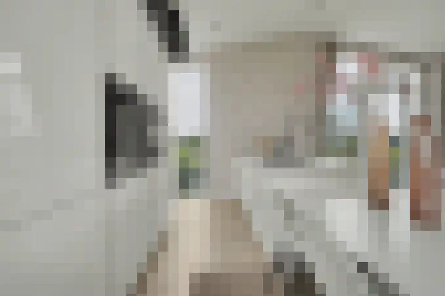 Ruisweg 48 Wemeldinge thumbnail 13