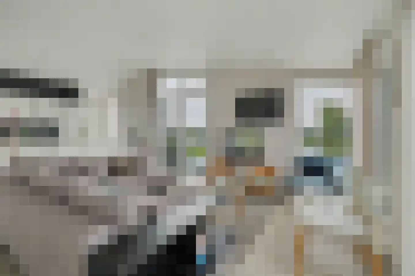 Ruisweg 48 Wemeldinge thumbnail 8