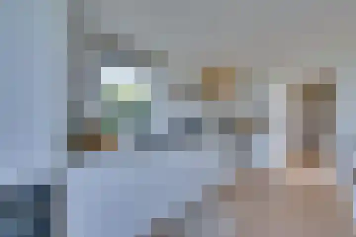 Ruisweg 53 Wemeldinge thumbnail 12