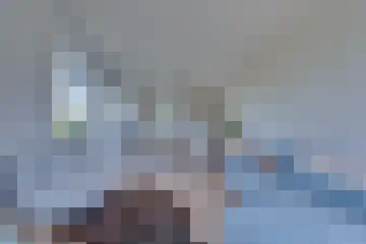 Ruisweg 53 Wemeldinge thumbnail 19