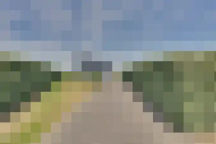 Ruisweg 53 Wemeldinge thumbnail 4