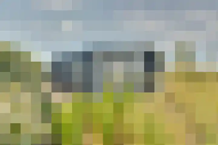Ruisweg 53 Wemeldinge thumbnail 43