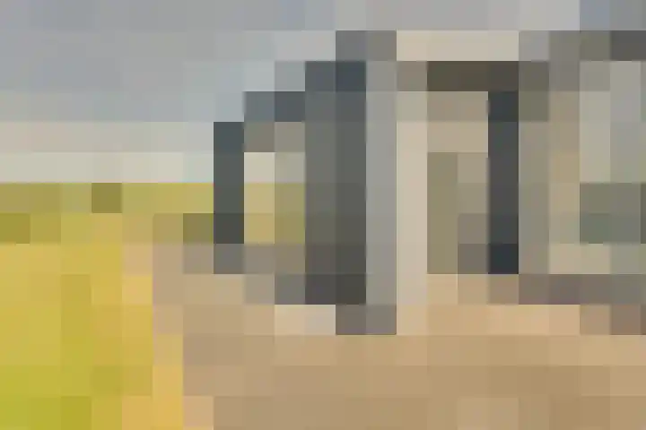 Ruisweg 53 Wemeldinge thumbnail 45