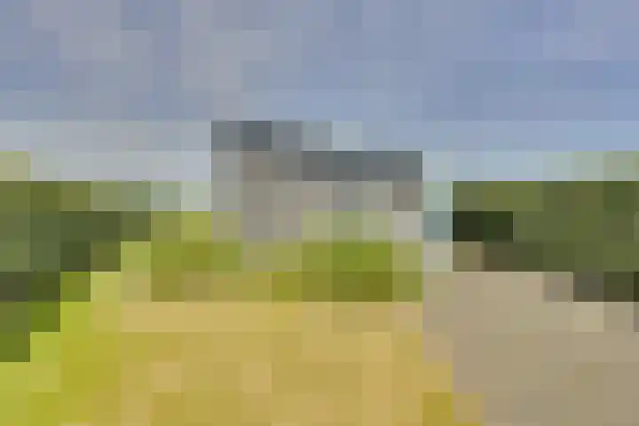 Ruisweg 53 Wemeldinge thumbnail 5