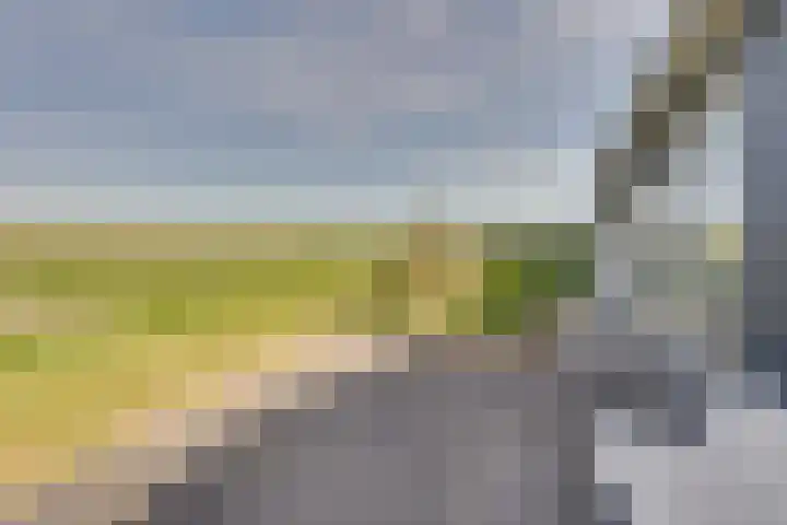 Ruisweg 53 Wemeldinge thumbnail 50
