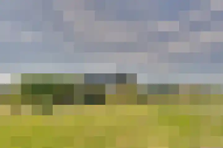 Ruisweg 53 Wemeldinge thumbnail 51
