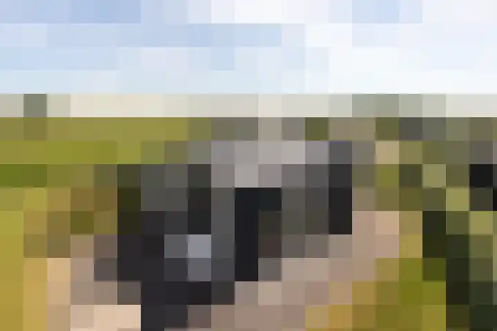 Ruisweg 53 Wemeldinge thumbnail 52