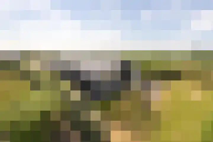 Ruisweg 53 Wemeldinge thumbnail 53