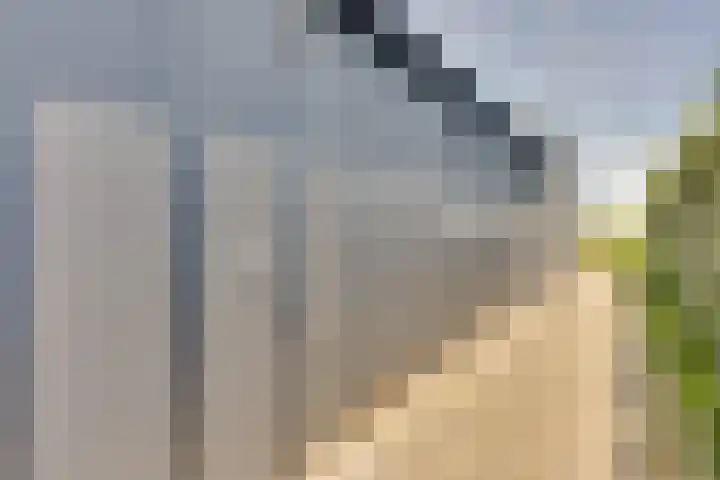 Ruisweg 53 Wemeldinge thumbnail 6