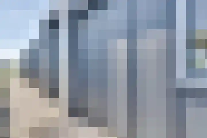 Ruisweg 53 Wemeldinge thumbnail 7