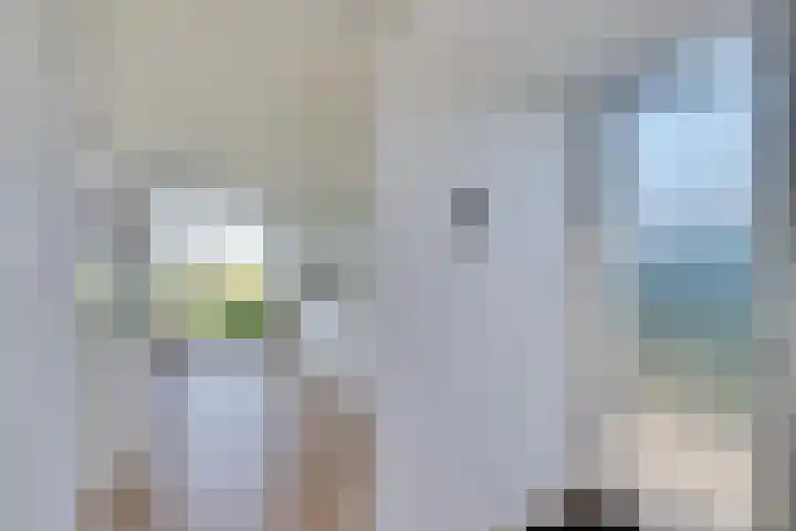 Ruisweg 53 Wemeldinge thumbnail 9
