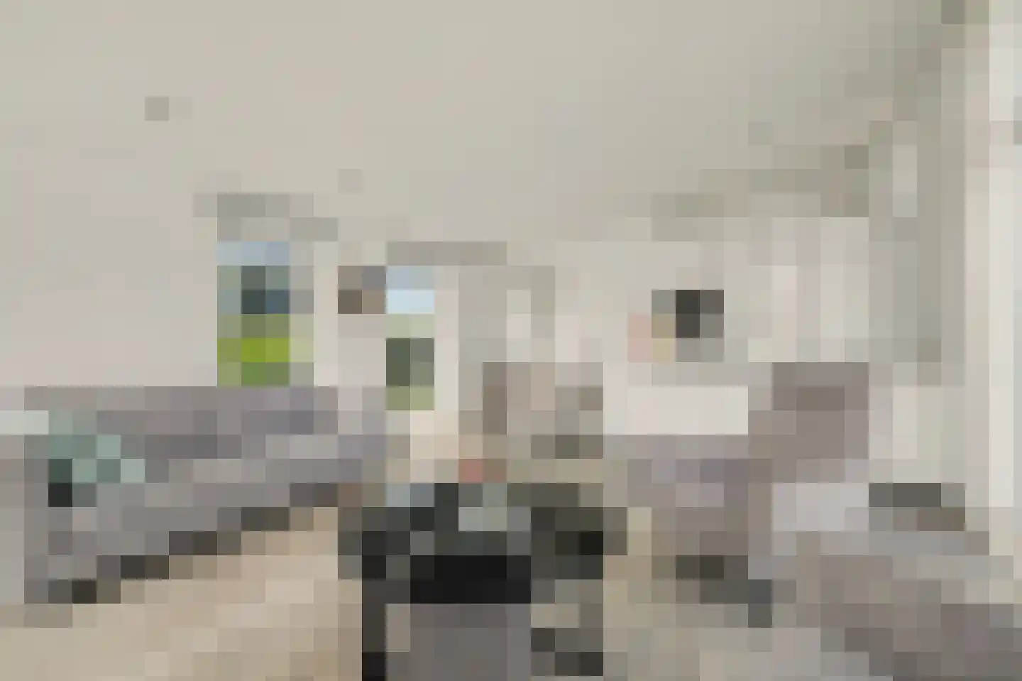Ruisweg 67 Wemeldinge thumbnail 10