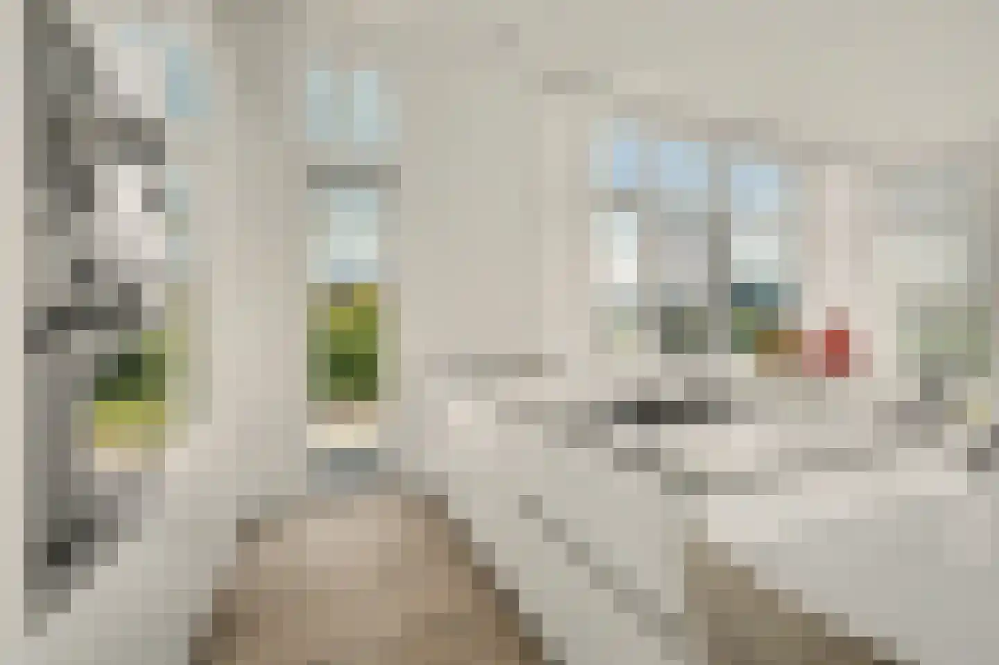 Ruisweg 67 Wemeldinge thumbnail 14