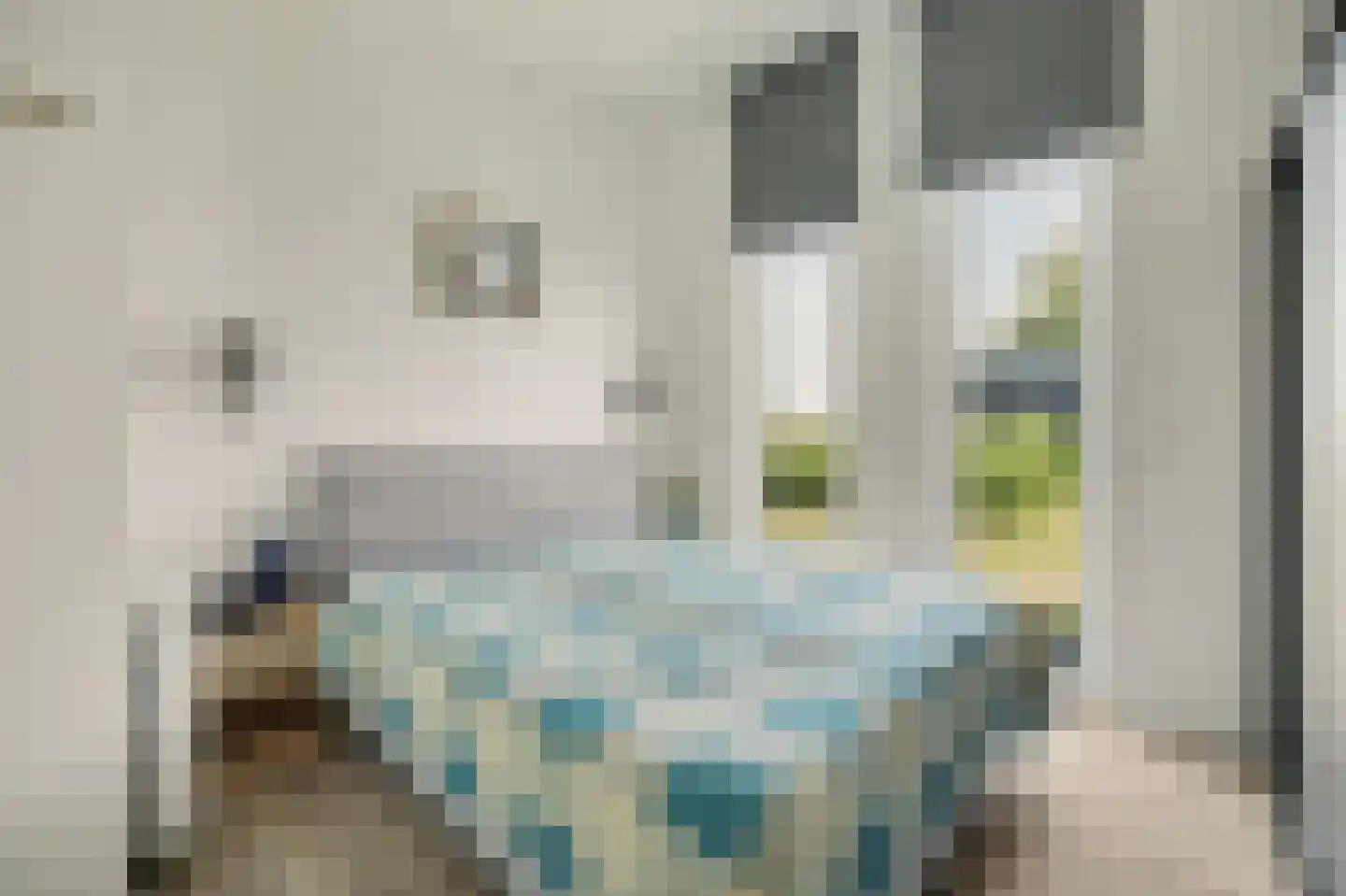 Ruisweg 67 Wemeldinge thumbnail 20