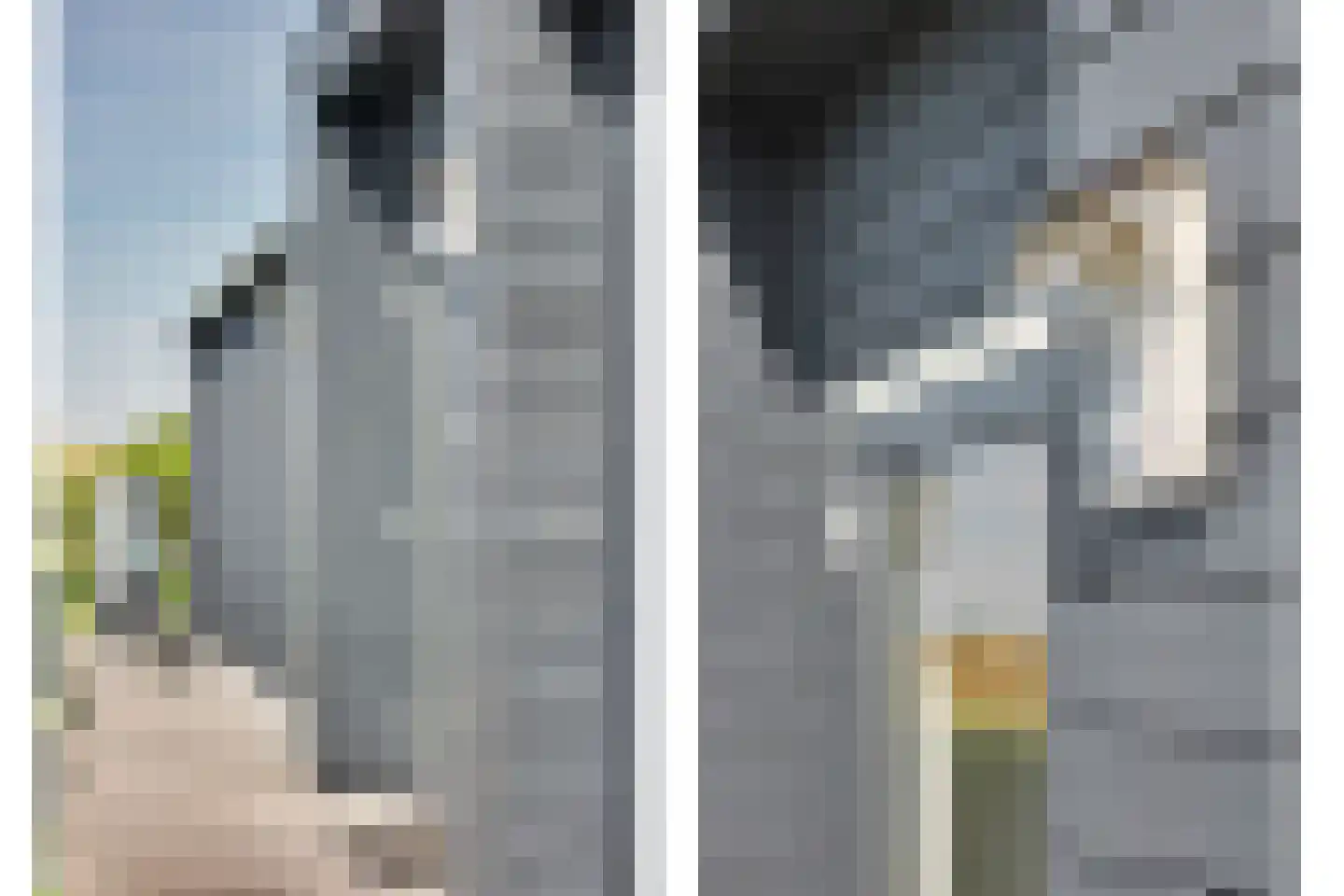 Ruisweg 67 Wemeldinge thumbnail 7