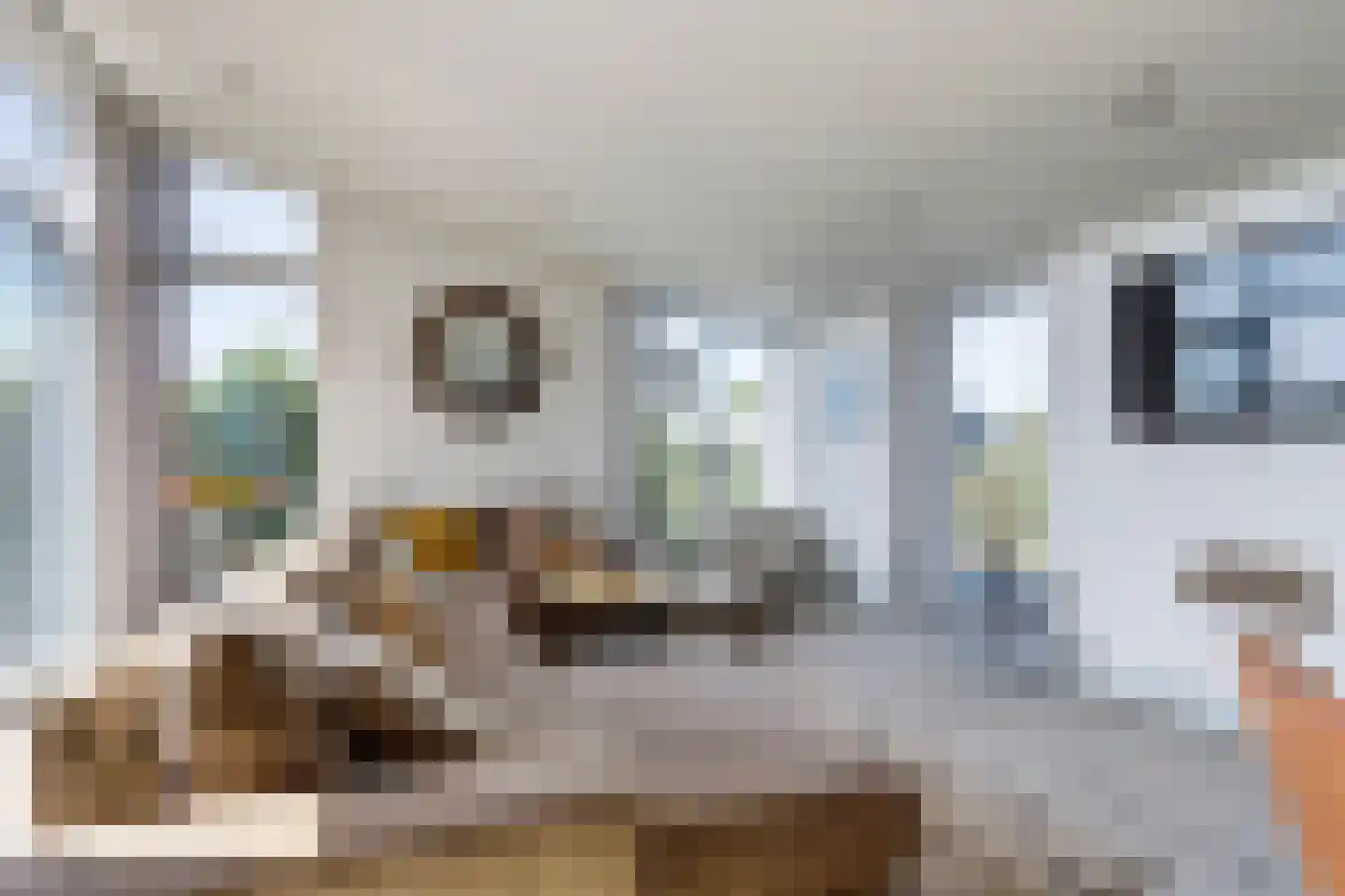 Ruisweg 71 Wemeldinge thumbnail 7