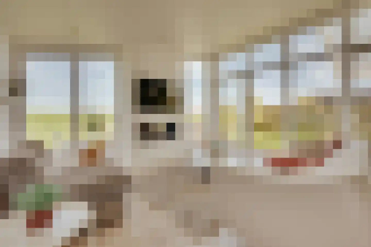 Ruisweg 73 Wemeldinge thumbnail 7
