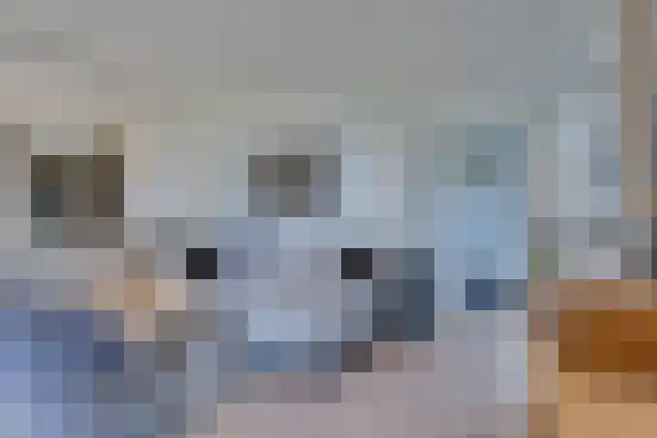 Ruisweg 89 Wemeldinge thumbnail 11