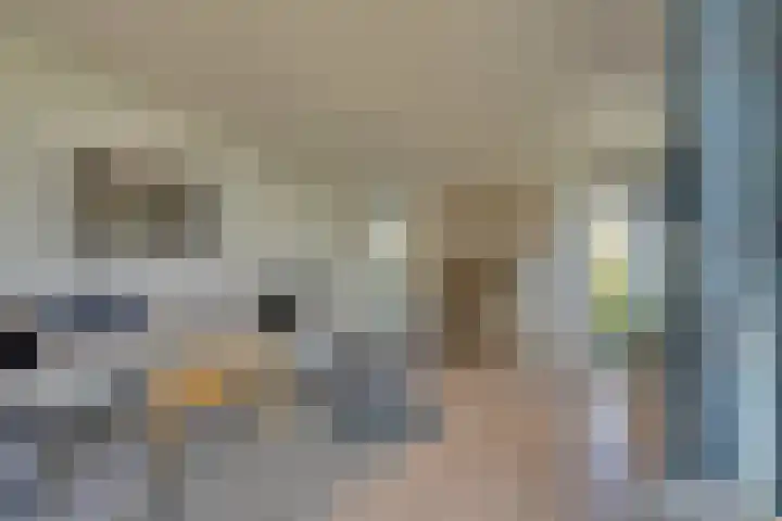 Ruisweg 89 Wemeldinge thumbnail 12