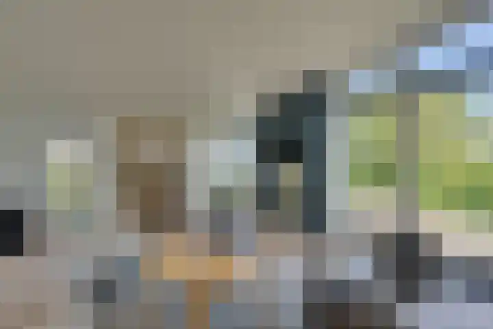 Ruisweg 89 Wemeldinge thumbnail 13