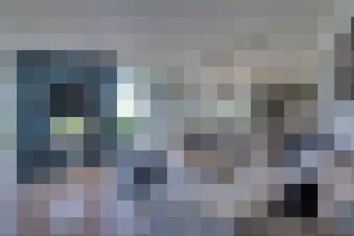 Ruisweg 89 Wemeldinge thumbnail 14