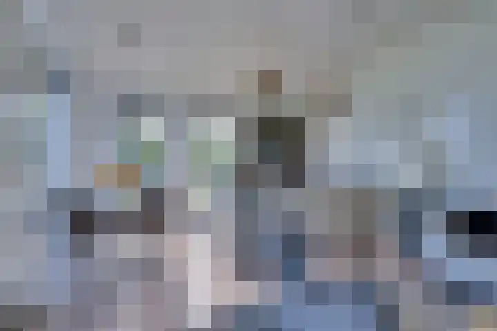 Ruisweg 89 Wemeldinge thumbnail 18